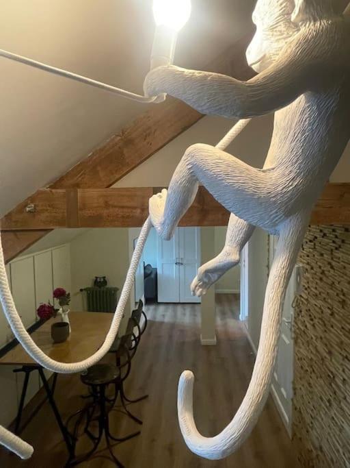 Appartement Cosy Et Charmant Saint-Lo Exterior photo